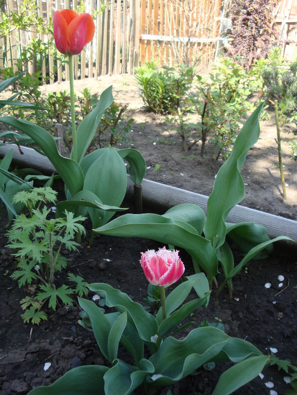 Гостим в Кировограде