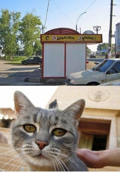 Улыбнуло)