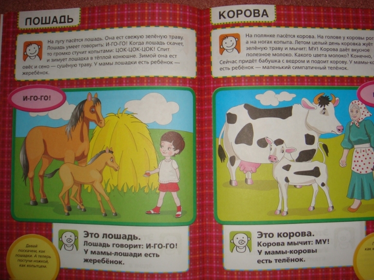 Новый ребенок. Гений с пеленок.