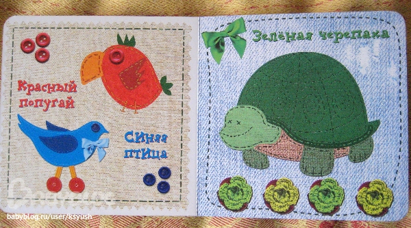 Разноцветный попугай.