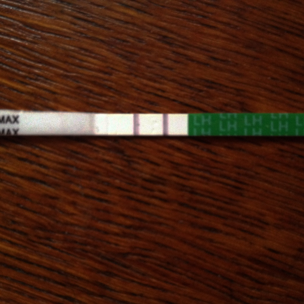 Первый раз делаю тест на овуляцию