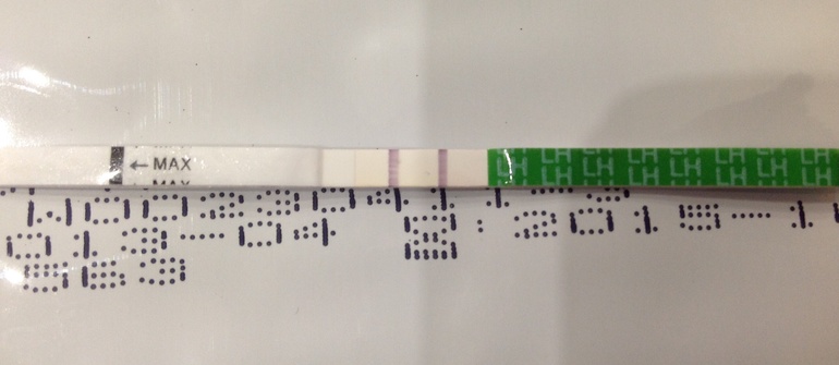Девченки подскажите через сколько времени после положительного теста на овуляцию происходит овуляция