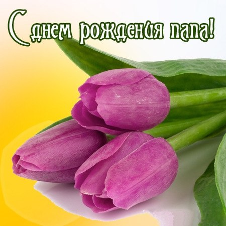 Поздравления с днем рождения папе