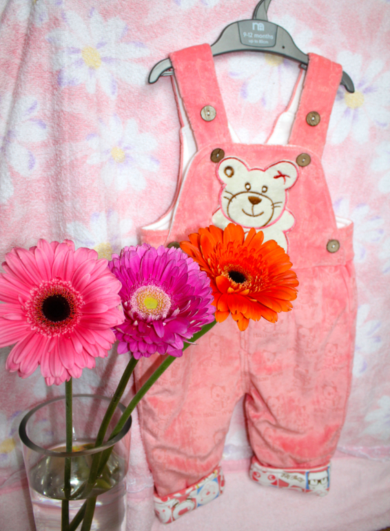 Велюровой набор. Комбез и куртка. 1360 руб. В наличии. Доставка по Москве. Почта в регионы.