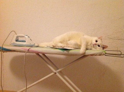 Милашки.
