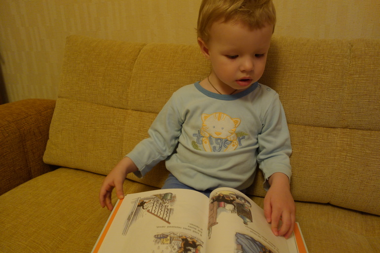 Отчёт о ТН "Домашние животные" (2 день)