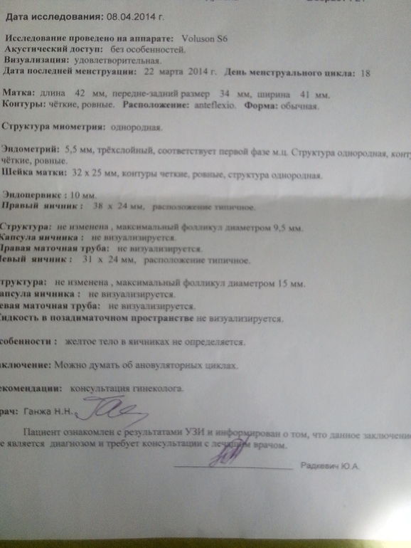 Приехала с УЗИ......