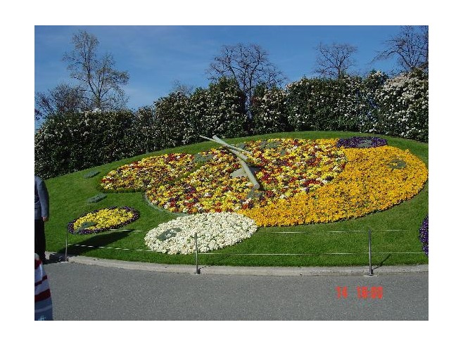 цветочные клумбы в Jardin Anglais