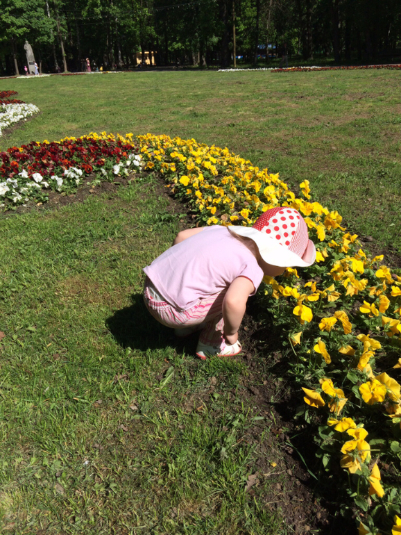Чудесные выходные в нашем парке...)