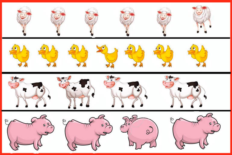 Небольшое дополнение к теме животные)