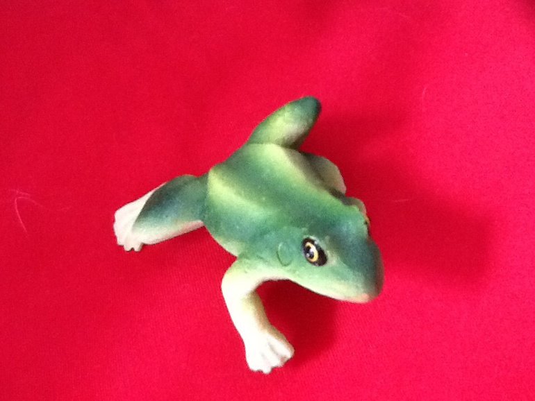 Лягушонка!!!