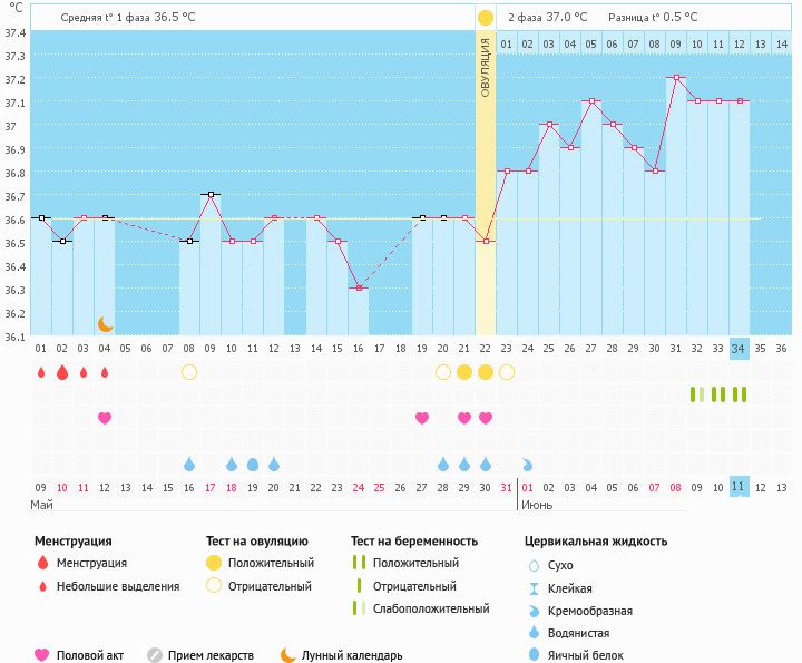 ура ......мой график Беременный!!!!!
