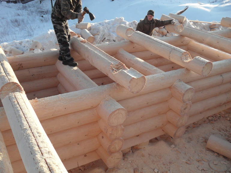 Срубы домов из Архангельской области.