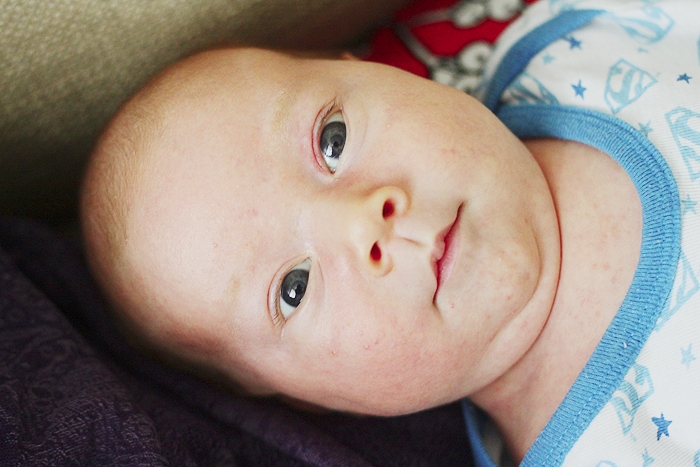 Серенький поссум