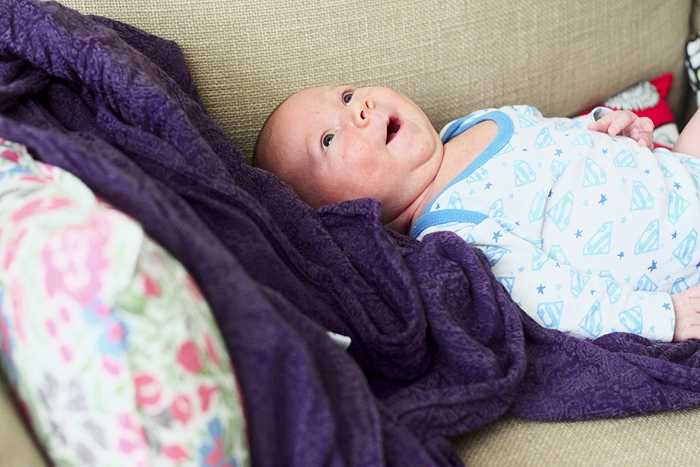 Серенький поссум