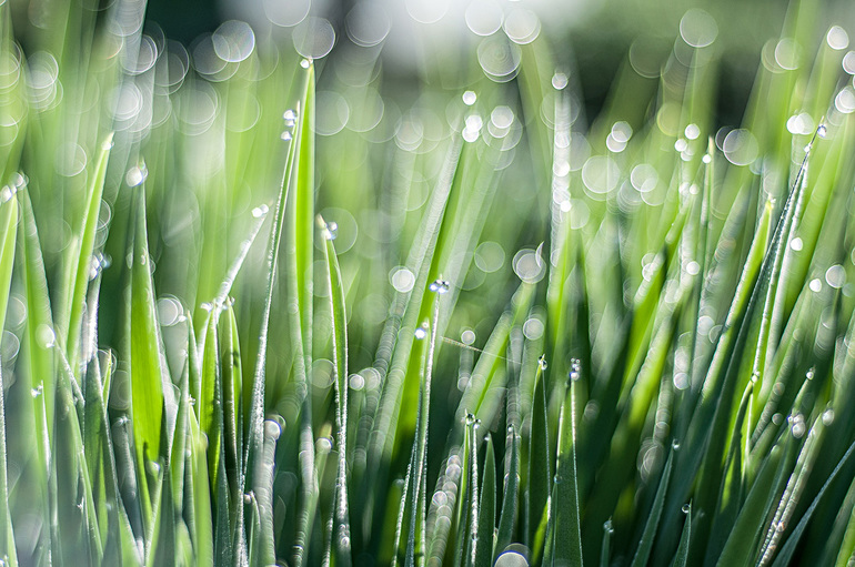 вот такая у нас весна-красна