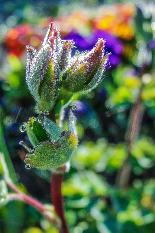 вот такая у нас весна-красна