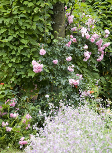 дела цветочные