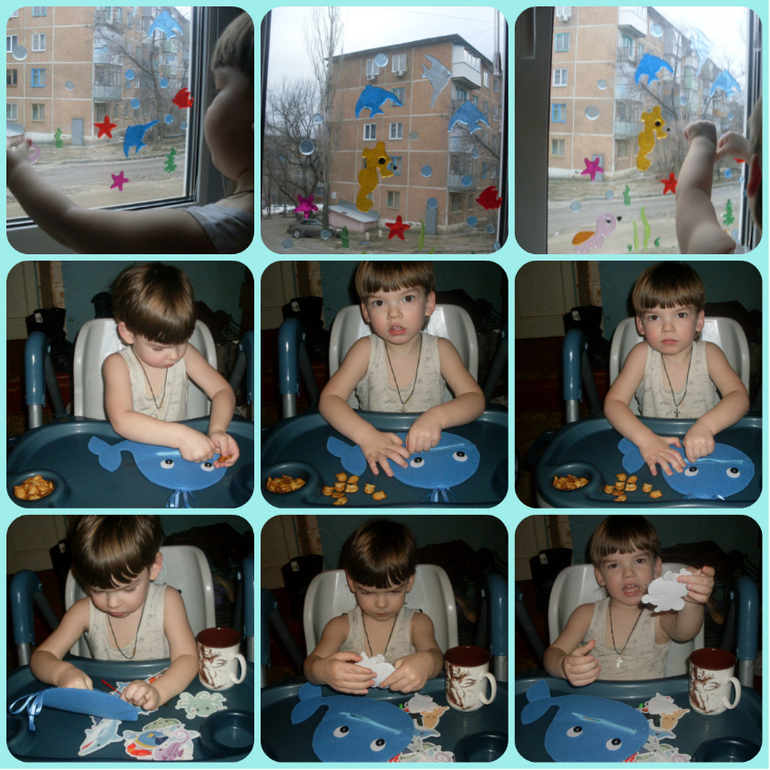 ТН Море и его обитатели