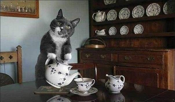 А Вы все успели перед НГ?!