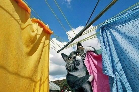 А Вы все успели перед НГ?!