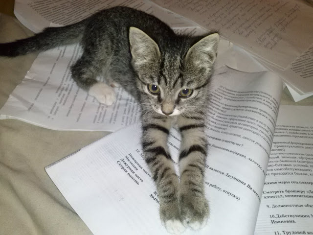 Хулиганки...