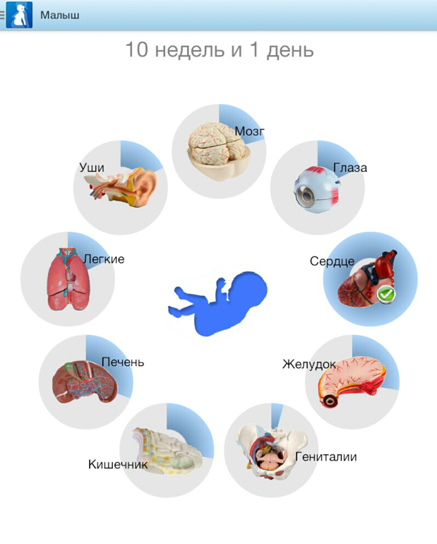 пошла 11 неделя!)))