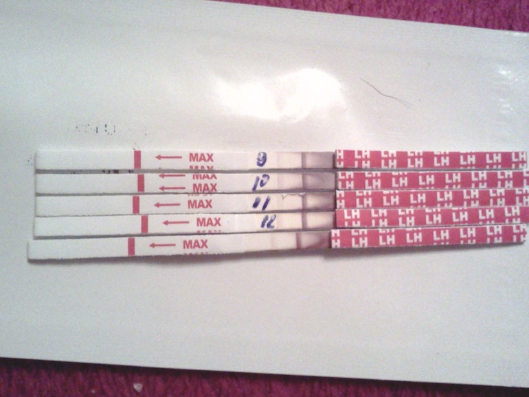 Пробная ловля овульки