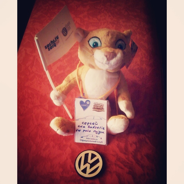 VW & AUDI Festival 2014 в Яхроме.