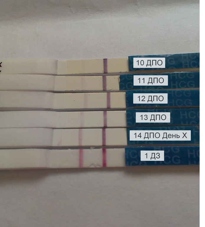 1 ДЗ (отчет за дачу)