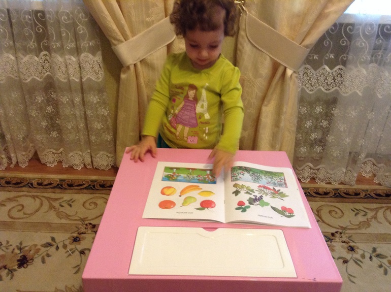 Овощи. Фрукты. Ягоды.