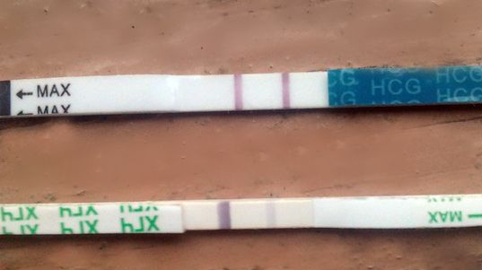 6 день задержки