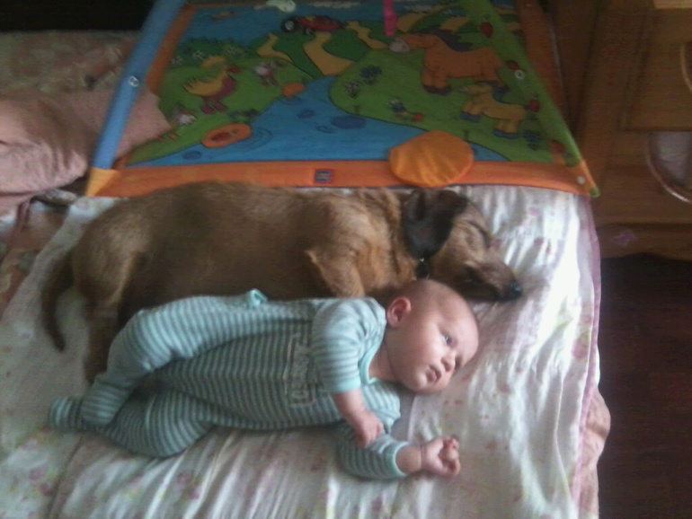 Вот так мы спали ещё недавно)