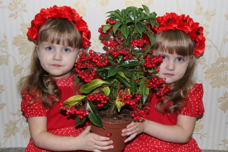 Девушки в красном...