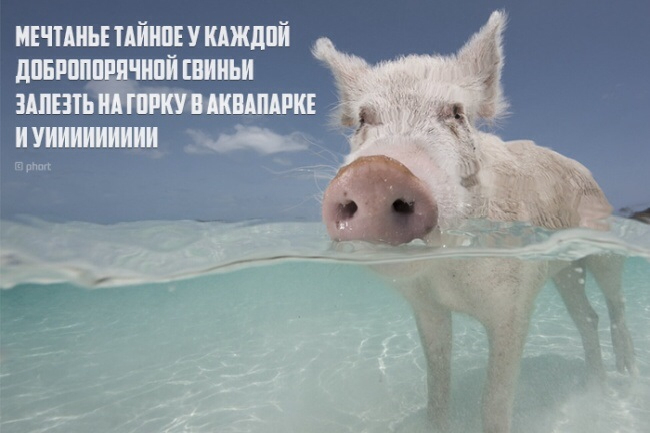 Прям....вот прям!!! Гы гы :-))