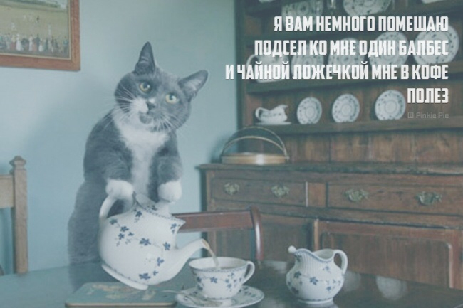 Прям....вот прям!!! Гы гы :-))