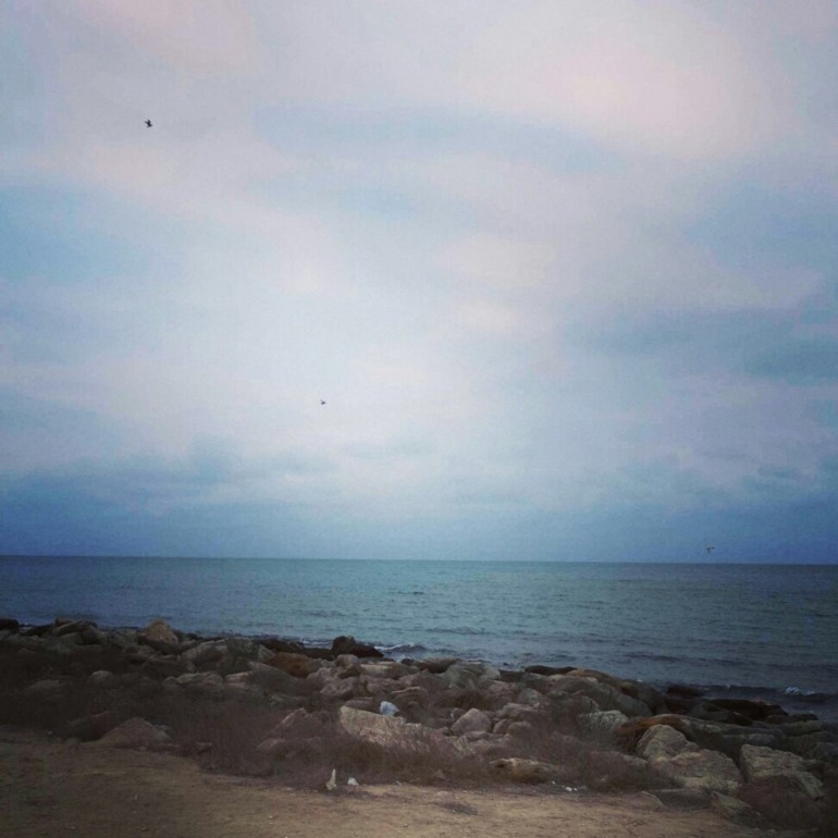 Праздничные выходные почти закончились...