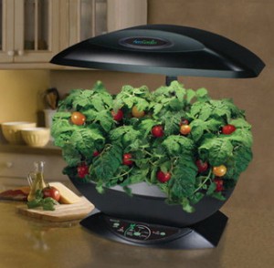 Девочки, выращивающие растения гидропонным методом, подскажите!