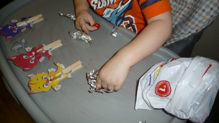 ТН Домашние любимцы - День 2 - Котята