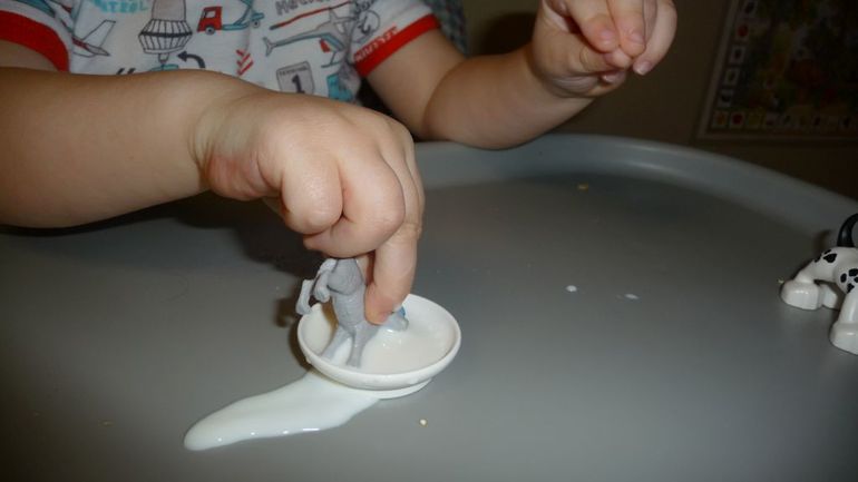 ТН Домашние любимцы - День 2 - Котята