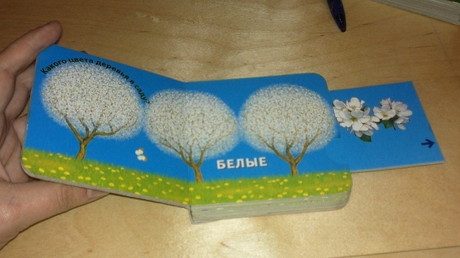 Маленькие картонные книжки