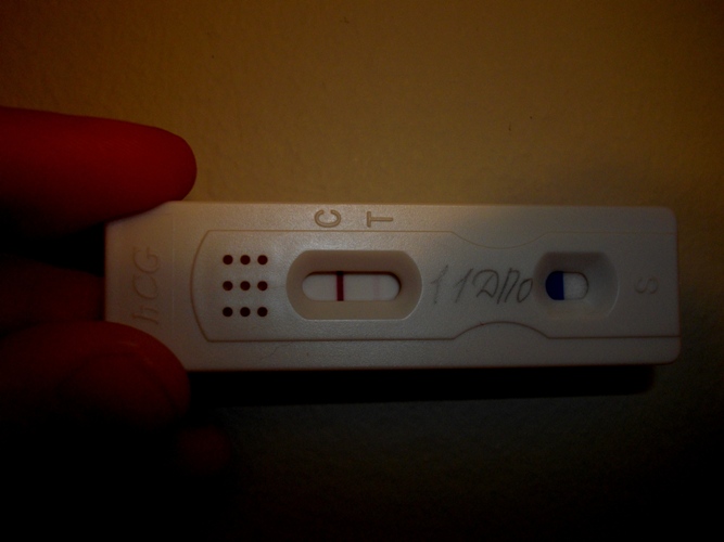 Хочется сделать тестик((((