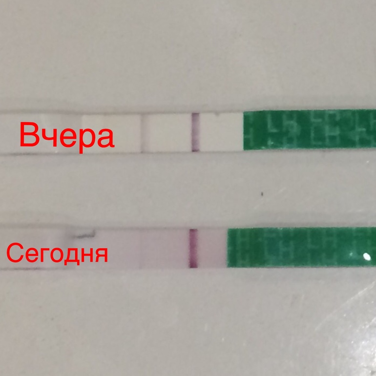 Возможна ли беременность если тест показывает отрицательно Возможна ли беременность если тест показывает отрицательно