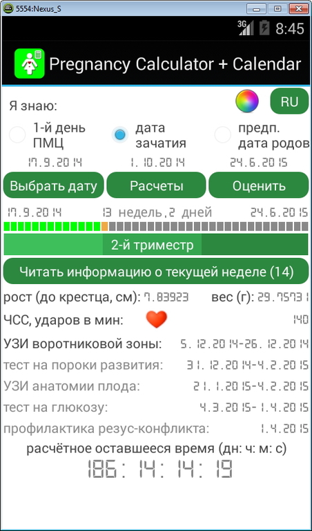 Русские витязи календарь выступлений