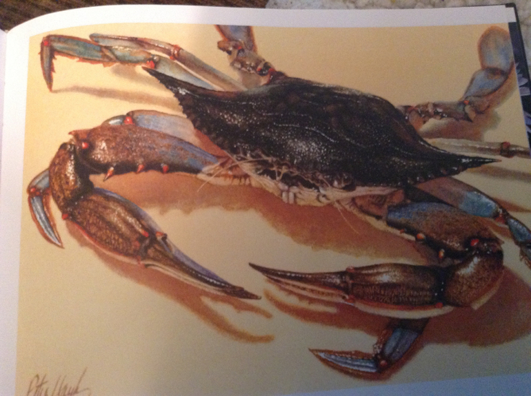 Учиться, вдохновляться, восхищаться! Книга Splash. Акварель