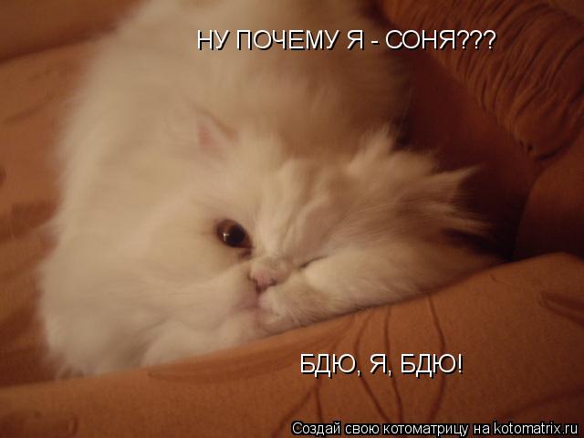 Девочки,вы думаете я пропала?))