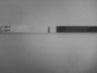 Это моя крошка?