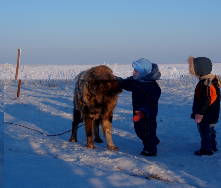 Мороз и солнце...