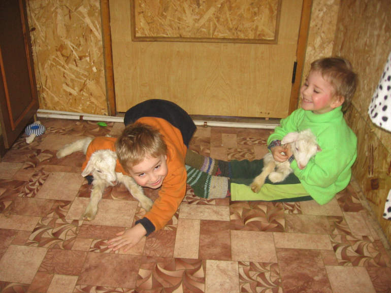 Ребята и козлята))