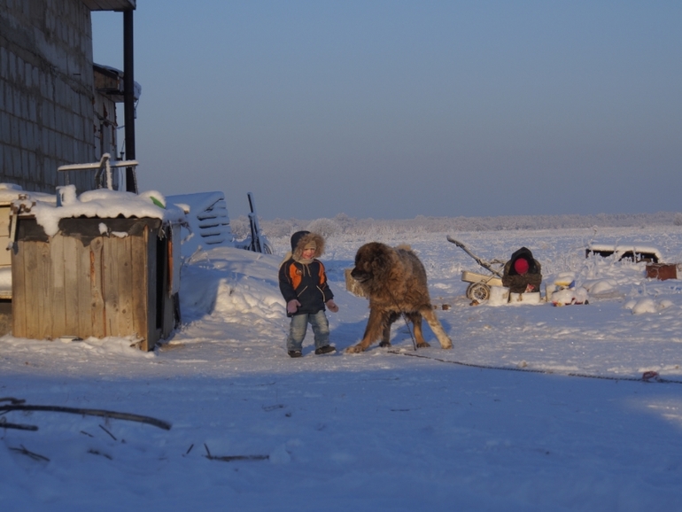 Мороз и солнце...